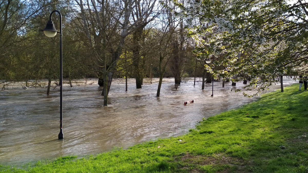 Inundaciones abril 2018. Arga