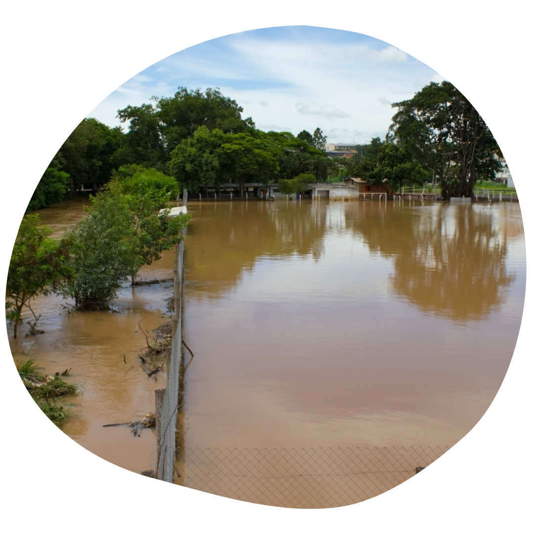 Plan de Actuación Municipal Frente al Riesgo de Inundaciones