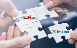 Logo servicio navarro de empleo y Tesicnor en un puzzle